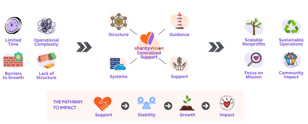 NGO Management & Strateg