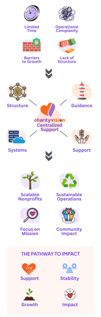 NGO Management & Strateg